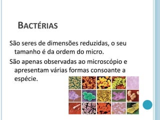 BACTÉRIAS
São seres de dimensões reduzidas, o seu
tamanho é da ordem do micro.
São apenas observadas ao microscópio e
apresentam várias formas consoante a
espécie.
 