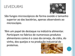 LEVEDURAS
São fungos microscópicos de forma ovoide e tamanho
superior ao das bactérias, apenas observáveis ao
microscópio.
Têm um papel de destaque na indústria alimentar.
Participam no fabrico de numerosos produtos
alimentares como é o caso da cerveja, da cidra, do
vinho, dos queijos e na produção industrial de
proteínas.
 