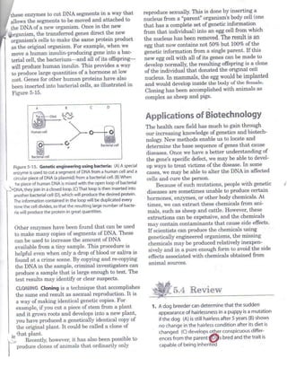 HSA biology key genetic engineering