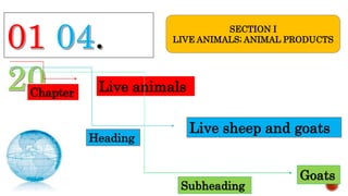 Chapter Live animals
Heading
Live sheep and goats
Subheading
Goats
SECTION I
LIVE ANIMALS; ANIMAL PRODUCTS
 