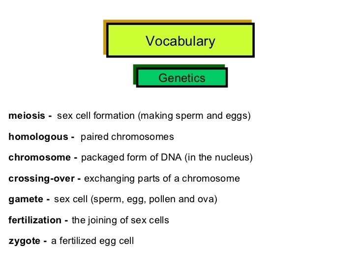 Hsa vocabulary w definitions