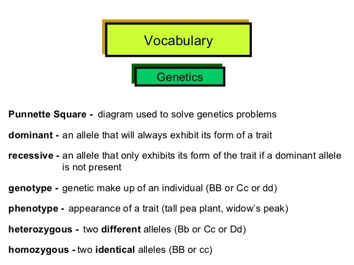 Hsa Vocabulary W Definitions