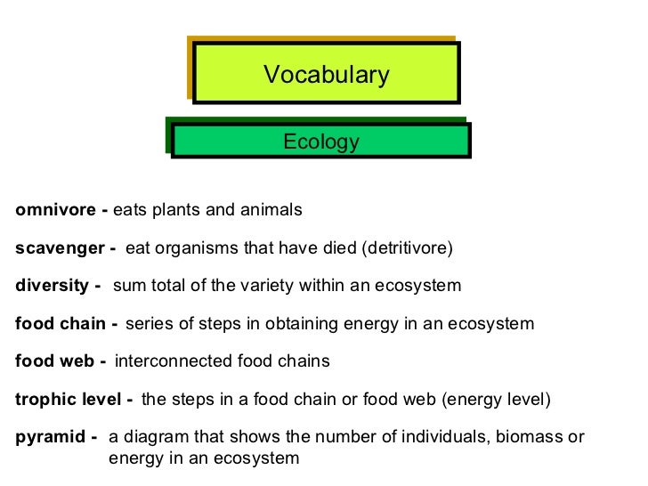 Interconnected Food Chains That Have A Variety Or Organisms Interconnected Food Chains That Have A Variety Or Organisms