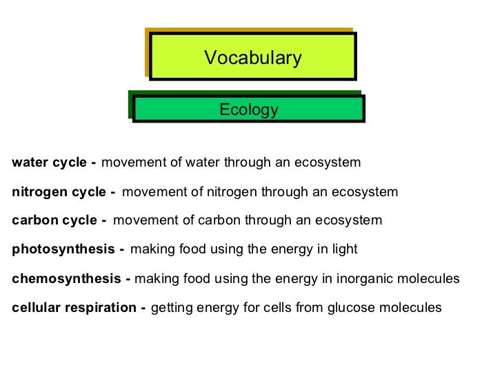 Interconnected Food Chains That Have A Variety Or Organisms Interconnected Food Chains That Have A Variety Or Organisms