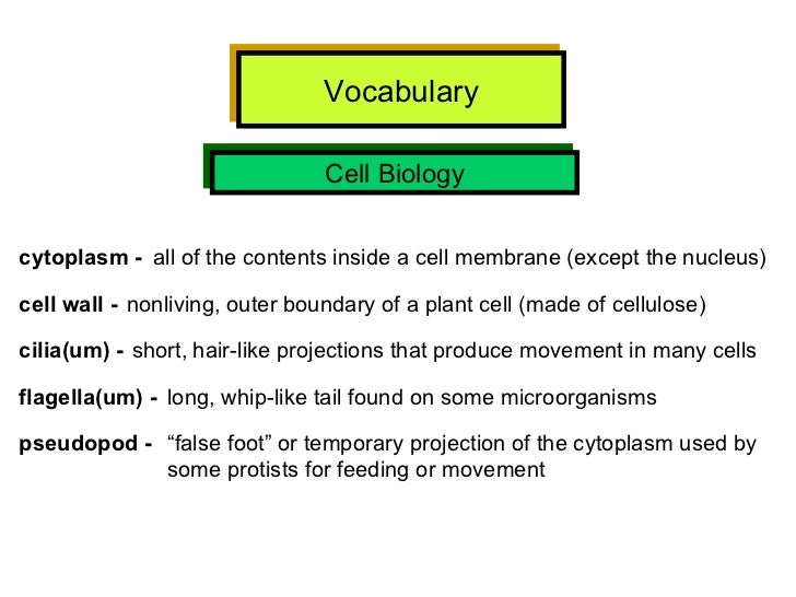 Hsa vocabulary w definitions