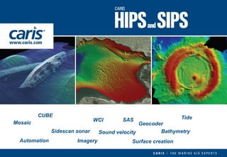 CUBE 
Mosaic 
Geocoder 
Sidescansonar 
Automation 
SAS 
WCI 
Imagery 
Bathymetry 
Tide 
Surface creation 
Sound velocity  