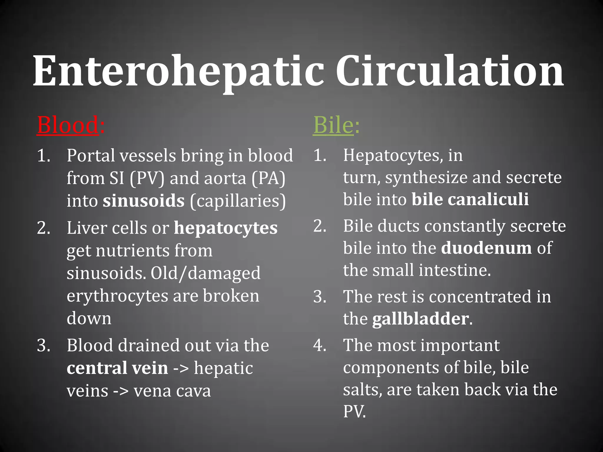 Enterohepatic CirculationBlood:Portal vessels bring in blood from SI (PV) and aorta (PA) into sinusoids (capillaries)Liver cells or hepatocytes get nutrients from sinusoids. Old/damaged erythrocytes are broken downBlood drained out via the central vein -> hepatic veins -> vena cavaBile:Hepatocytes, in turn, synthesize and secrete bile into bile canaliculiBile ducts constantly secrete bile into the duodenum of the small intestine.The rest is concentrated in the gallbladder.The most important components of bile, bile salts, are taken back via the PV.