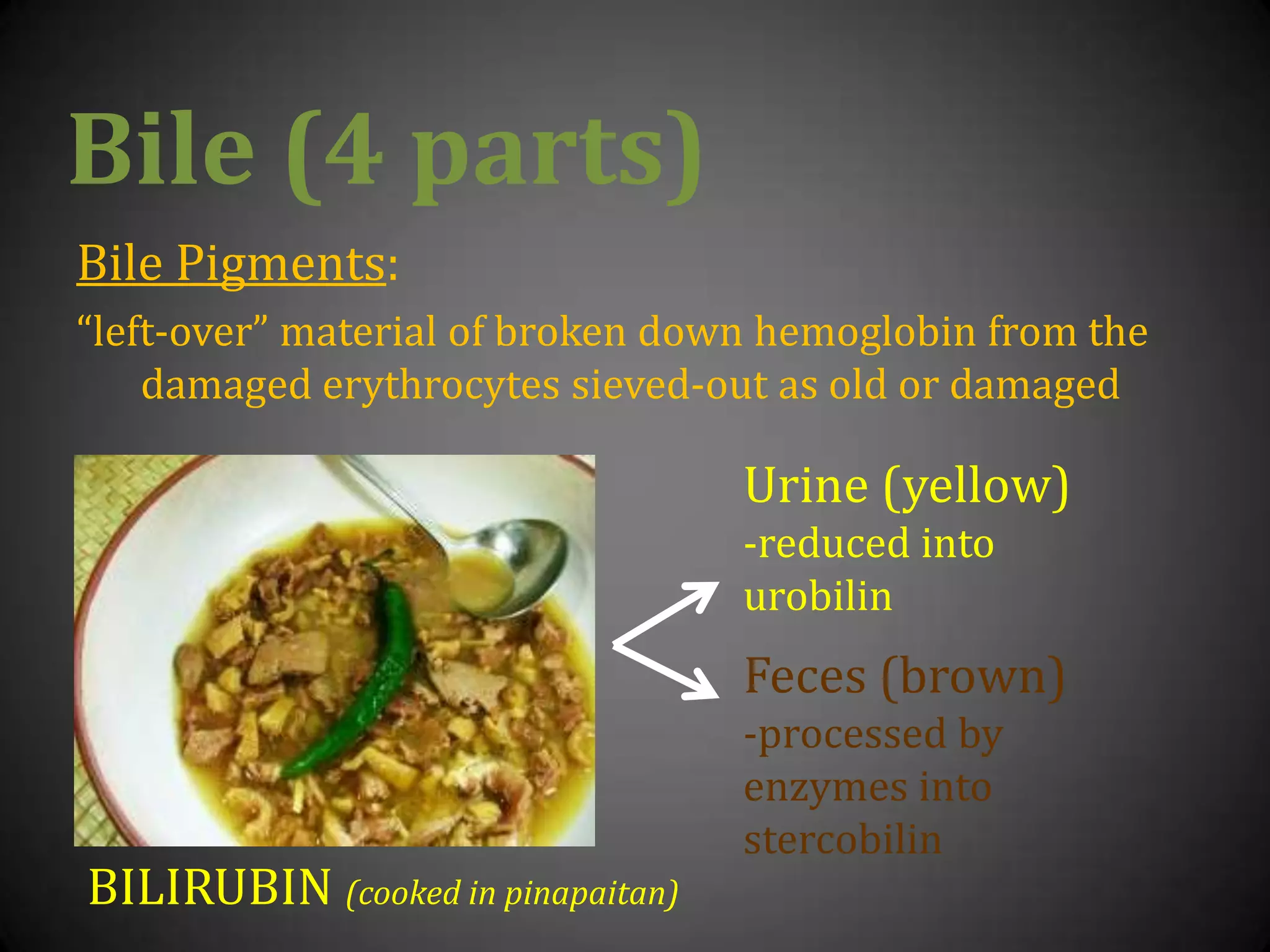 Bile (4 parts)Bile Pigments:“left-over” material of broken down hemoglobin from the damaged erythrocytes sieved-out as old or damagedUrine (yellow)-reduced into urobilinFeces (brown)-processed by enzymes into stercobilinBILIRUBIN (cooked in pinapaitan) 
