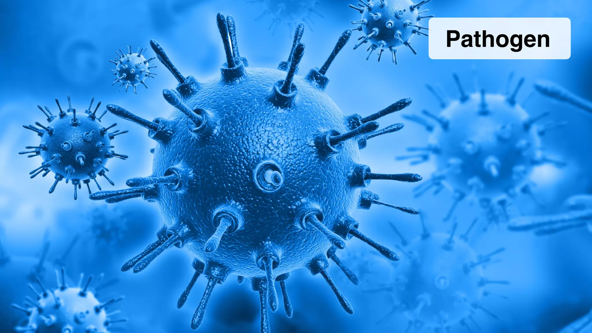 Pathogen