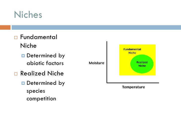 😀 Fundamental vs realized niche. What Does Niche Mean in