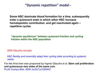“ Dynamic repetition” model - Some HSC dominate blood formation for a time, subsequently enter a quiescent state in which other HSC increase hematopoietic contribution, and get reactivated again – repetitive cycles “ dynamic equilibrium” between quiescent fraction and cycling fraction within the HSC population For the first time was proposed by  Ingmar Glauche et al.  Stem cell proliferation and quiescence--two sides of the same coin .  PLoS Comput Biol. 2009 Jul;5(7):e1000447 2009 Glauche concept: HSC flexibly and reversibly adapt their cycling state according to systemic needs 