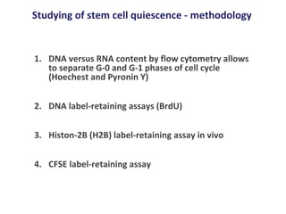 Studying of stem cell quiescence - methodology DNA versus RNA content by flow cytometry allows to separate G-0 and G-1 phases of cell cycle (Hoechest and Pyronin Y) DNA label-retaining assays (BrdU) Histon-2B (H2B) label-retaining assay in vivo CFSE label-retaining assay 