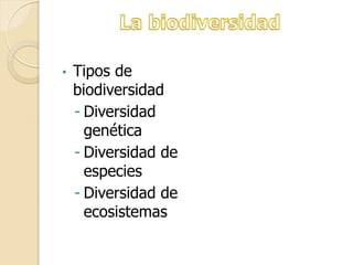 • Tipos de
biodiversidad
- Diversidad
genética
- Diversidad de
especies
- Diversidad de
ecosistemas
 