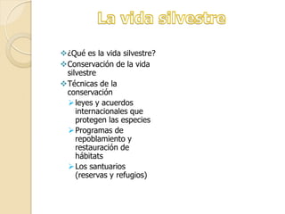 ¿Qué es la vida silvestre?
Conservación de la vida
silvestre
Técnicas de la
conservación
leyes y acuerdos
internacionales que
protegen las especies
Programas de
repoblamiento y
restauración de
hábitats
Los santuarios
(reservas y refugios)
 