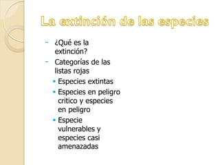 ̴ ¿Qué es la
extinción?
̴ Categorías de las
listas rojas
 Especies extintas
 Especies en peligro
critico y especies
en peligro
 Especie
vulnerables y
especies casi
amenazadas
 