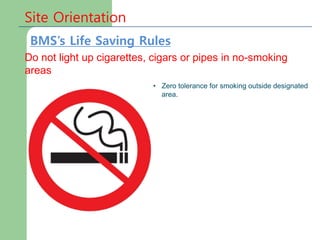 Site Orientation
Do not light up cigarettes, cigars or pipes in no-smoking
areas
• Zero tolerance for smoking outside designated
area.
BMS’s Life Saving Rules
 