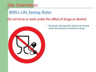 Site Orientation
Do not drive or work under the effect of drugs or alcohol
• No person will report for work or be at work
under the influence of alcohol or drugs.
BMS’s Life Saving Rules
 