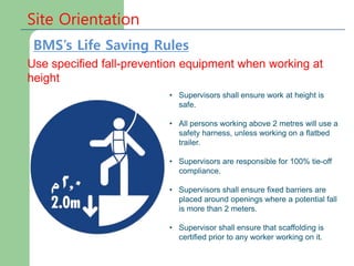 Site Orientation
Use specified fall-prevention equipment when working at
height
• Supervisors shall ensure work at height is
safe.
• All persons working above 2 metres will use a
safety harness, unless working on a flatbed
trailer.
• Supervisors are responsible for 100% tie-off
compliance.
• Supervisors shall ensure fixed barriers are
placed around openings where a potential fall
is more than 2 meters.
• Supervisor shall ensure that scaffolding is
certified prior to any worker working on it.
BMS’s Life Saving Rules
 