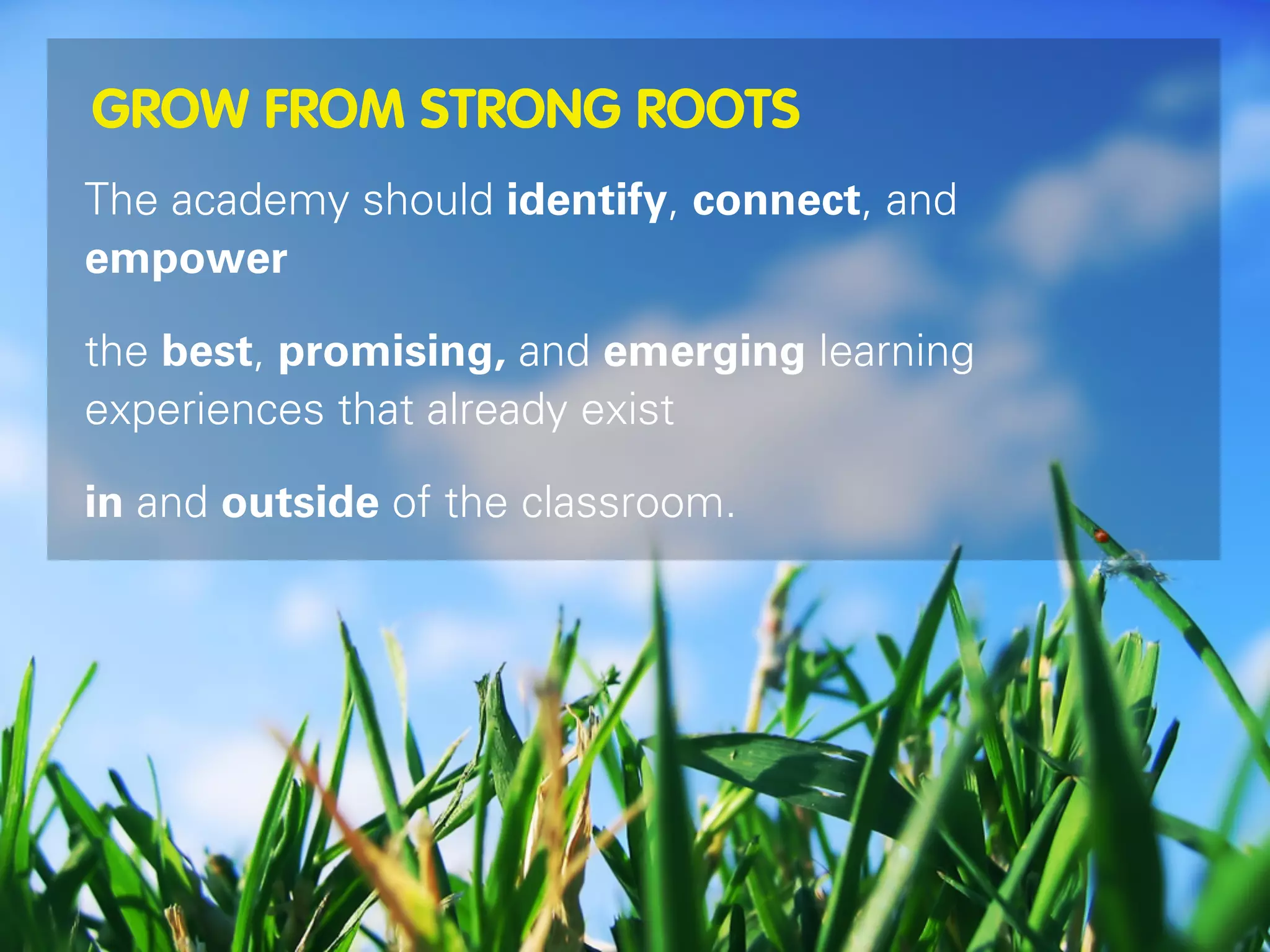 GROW FROM STRONG ROOTS
The academy should identify, connect, and
empower

the best, promising, and emerging learning
experiences that already exist

in and outside of the classroom.
 