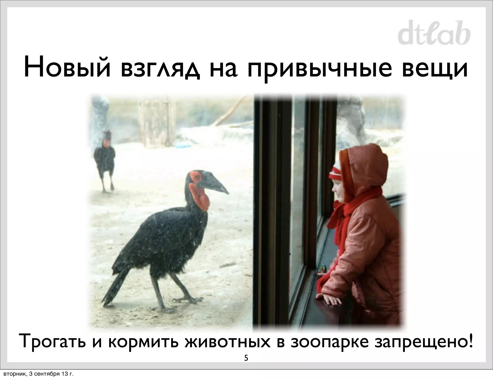 Новый взгляд на привычные вещи

Трогать и кормить животных в зоопарке запрещено!
5
вторник, 3 сентября 13 г.

 