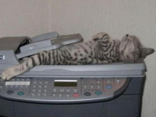 бета-версии
более 65 000 авторов
люди сами выбирают цену музыки
 