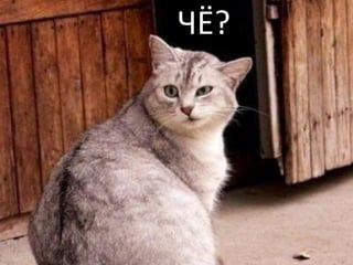 ЧЁ?
 