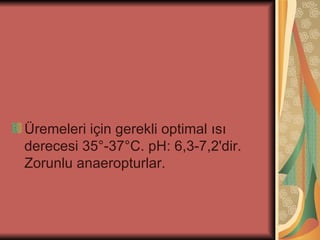 Üremeleri için gerekli optimal ısı
derecesi 35°-37°C. pH: 6,3-7,2'dir.
Zorunlu anaeropturlar.
 