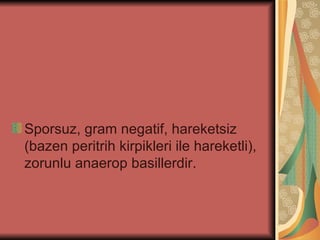 Sporsuz, gram negatif, hareketsiz
(bazen peritrih kirpikleri ile hareketli),
zorunlu anaerop basillerdir.
 