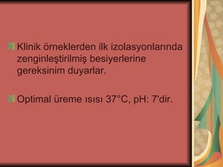 Klinik örneklerden ilk izolasyonlarında
zenginleştirilmiş besiyerlerine
gereksinim duyarlar.

Optimal üreme ısısı 37°C, pH: 7'dir.
 