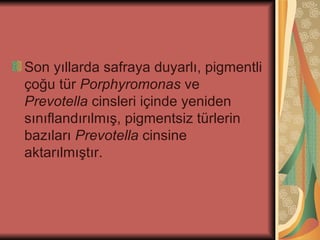 Son yıllarda safraya duyarlı, pigmentli
çoğu tür Porphyromonas ve
Prevotella cinsleri içinde yeniden
sınıflandırılmış, pigmentsiz türlerin
bazıları Prevotella cinsine
aktarılmıştır.
 