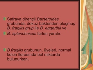 Safraya dirençli Bacteroides
grubunda; dokuz bakteriden oluşmuş
B. fragilis grup ile B. eggerthii ve
B. splanchnicus türleri yeralır.


B.fragilis grubunun, üyeleri, normal
kolon florasında bol miktarda
bulunurken,
 
