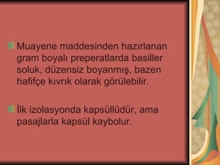 Muayene maddesinden hazırlanan
gram boyalı preperatlarda basiller
soluk, düzensiz boyanmış, bazen
hafifçe kıvrık olarak görülebilir.

İlk izolasyonda kapsüllüdür, ama
pasajlarla kapsül kaybolur.
 