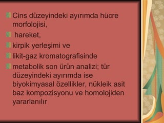 Cins düzeyindeki ayırımda hücre
morfolojisi,
 hareket,
kirpik yerleşimi ve
likit-gaz kromatografisinde
metabolik son ürün analizi; tür
düzeyindeki ayırımda ise
biyokimyasal özellikler, nükleik asit
baz kompozisyonu ve homolojiden
yararlanılır
 