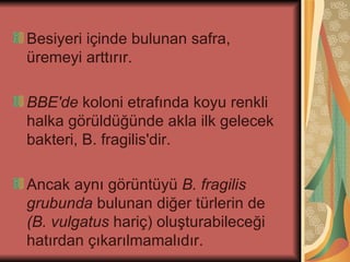 Besiyeri içinde bulunan safra,
üremeyi arttırır.

BBE'de koloni etrafında koyu renkli
halka görüldüğünde akla ilk gelecek
bakteri, B. fragilis'dir.

Ancak aynı görüntüyü B. fragilis
grubunda bulunan diğer türlerin de
(B. vulgatus hariç) oluşturabileceği
hatırdan çıkarılmamalıdır.
 