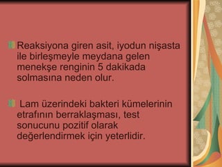 Reaksiyona giren asit, iyodun nişasta
ile birleşmeyle meydana gelen
menekşe renginin 5 dakikada
solmasına neden olur.

 Lam üzerindeki bakteri kümelerinin
etrafının berraklaşması, test
sonucunu pozitif olarak
değerlendirmek için yeterlidir.
 