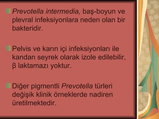 Prevotella intermedia, baş-boyun ve
plevral infeksiyonlara neden olan bir
bakteridir.

Pelvis ve karın içi infeksiyonları ile
kandan seyrek olarak izole edilebilir,
β laktamazı yoktur.

Diğer pigmentli Prevotella türleri
değişik klinik örneklerde nadiren
üretilmektedir.
 