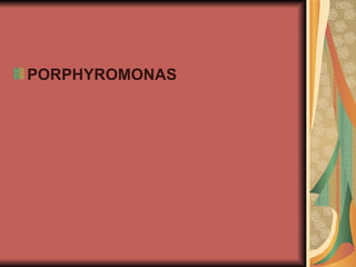 PORPHYROMONAS
 