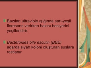 Bazıları ultraviole ışığında sarı-yeşil
floresans verirken bazısı besiyerini
yeşillendirir.

Bacteroides bile esculin (BBE)
agarda siyah koloni oluşturan suşlara
rastlanır.
 