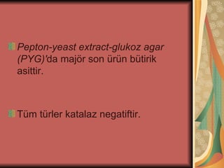 Pepton-yeast extract-glukoz agar
(PYG)'da majör son ürün bütirik
asittir.



Tüm türler katalaz negatiftir.
 
