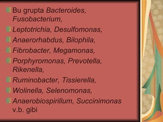 Bu grupta Bacteroides,
Fusobacterium,
Leptotrichia, Desulfomonas,
Anaerorhabdus, Bilophila,
Fibrobacter, Megamonas,
Porphyromonas, Prevotella,
Rikenella,
Ruminobacter, Tissierella,
Wolinella, Selenomonas,
Anaerobiospirillum, Succinimonas
v.b. gibi
 