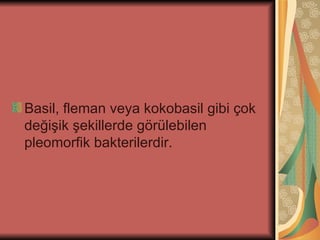 Basil, fleman veya kokobasil gibi çok
değişik şekillerde görülebilen
pleomorfik bakterilerdir.
 