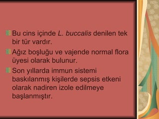Bu cins içinde L. buccalis denilen tek
bir tür vardır.
Ağız boşluğu ve vajende normal flora
üyesi olarak bulunur.
Son yıllarda immun sistemi
baskılanmış kişilerde sepsis etkeni
olarak nadiren izole edilmeye
başlanmıştır.
 