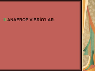 ANAEROP VİBRİO'LAR
 