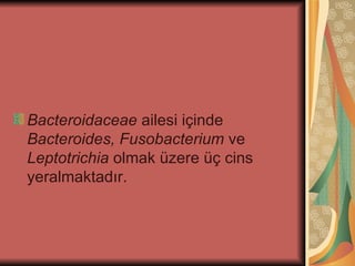 Bacteroidaceae ailesi içinde
Bacteroides, Fusobacterium ve
Leptotrichia olmak üzere üç cins
yeralmaktadır.
 
