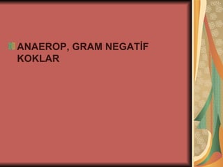 ANAEROP, GRAM NEGATİF
KOKLAR
 