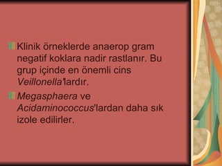 Klinik örneklerde anaerop gram
negatif koklara nadir rastlanır. Bu
grup içinde en önemli cins
Veillonella'lardır.
Megasphaera ve
Acidaminococcus'lardan daha sık
izole edilirler.
 
