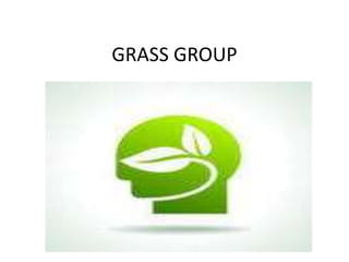 GRASS GROUP

 