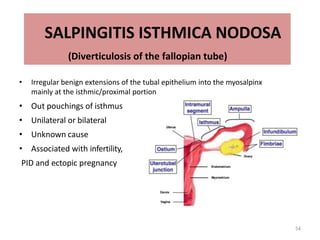 54
SALPINGITIS ISTHMICA NODOSA
(Diverticulosis of the fallopian tube)
• Irregular benign extensions of the tubal epithelium into the myosalpinx
mainly at the isthmic/proximal portion
• Out pouchings of isthmus
• Unilateral or bilateral
• Unknown cause
• Associated with infertility,
PID and ectopic pregnancy
 