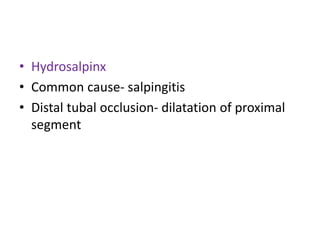 • Hydrosalpinx
• Common cause- salpingitis
• Distal tubal occlusion- dilatation of proximal
segment
 