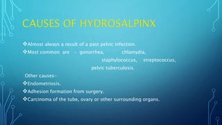 Almost always a result of a past pelvic infection.
Most common are - gonorrhea, chlamydia,
staphylococcus, streptococcus,
pelvic tuberculosis.
Other causes-
Endometriosis.
Adhesion formation from surgery.
Carcinoma of the tube, ovary or other surrounding organs.
 